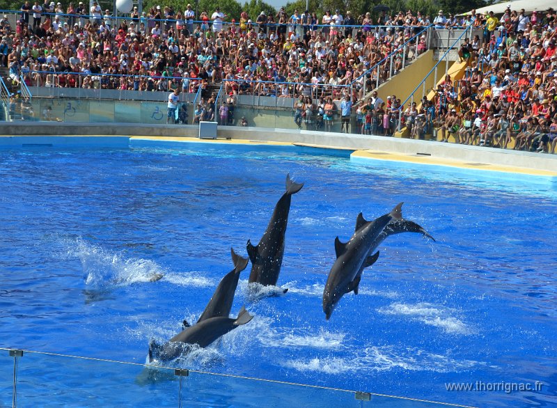 Marineland aout 2014 24.JPG - Marineland - Parc d'attractions aquatiques - Antibes - Août 2014